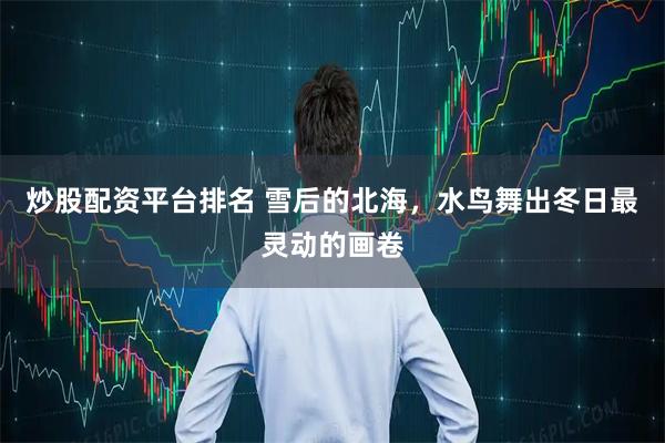 炒股配资平台排名 雪后的北海，水鸟舞出冬日最灵动的画卷