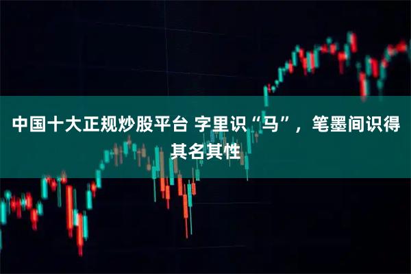 中国十大正规炒股平台 字里识“马”，笔墨间识得其名其性