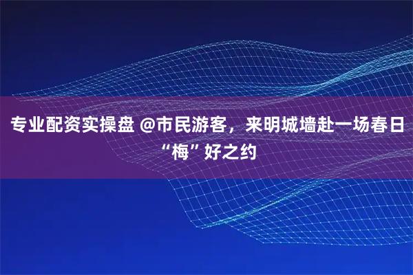 专业配资实操盘 @市民游客，来明城墙赴一场春日“梅”好之约
